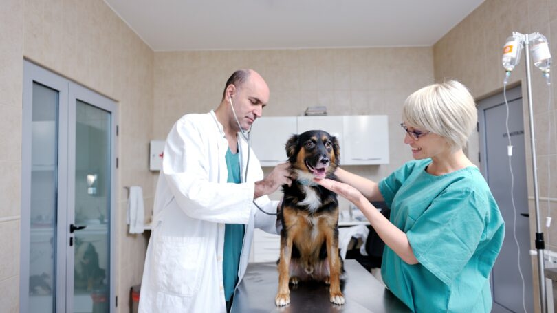Pet Health Insurance Coverage Restrictions