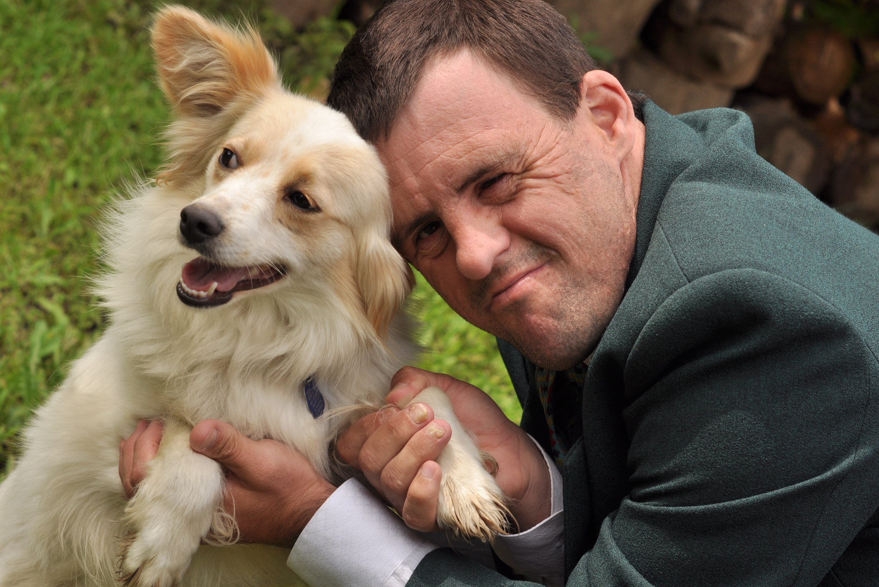 new dog adjusting to new home