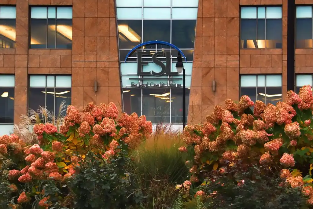A modern building with large windows and a brown exterior stands behind flowering shrubs with clusters of pink and orange blooms. A blue and black sign reading “ESL” is mounted above the entrance.