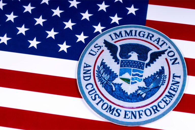 United States Immigration And Customs Enforcement American Flag