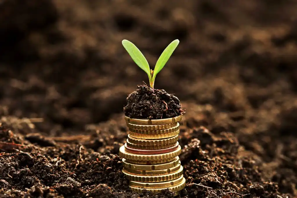 A small green seedling grows from a pile of soil placed on top of stacked gold coins, symbolizing financial growth and investment, with blurred dark soil in the background.