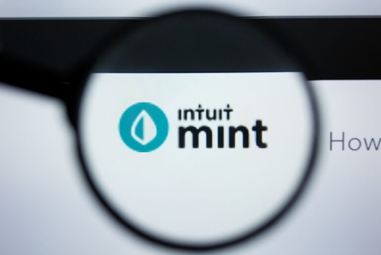 Intuit Mint Magnifying Glass