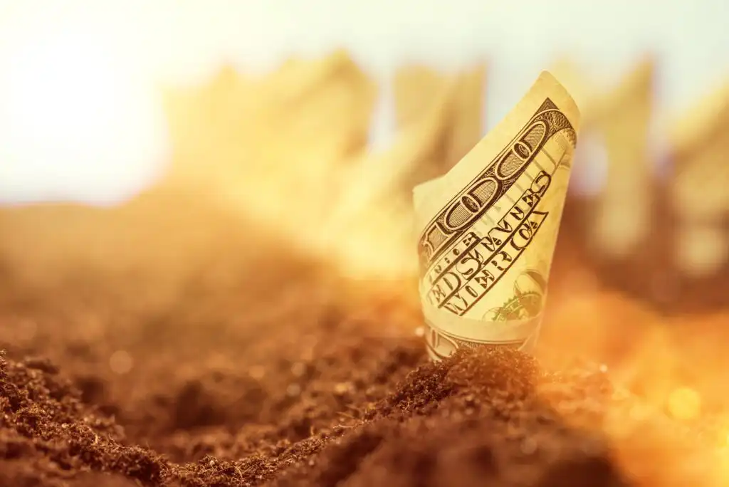 A rolled-up U.S. dollar bill is partially buried in soil, with sunlight shining in the background, symbolizing financial growth or investment.