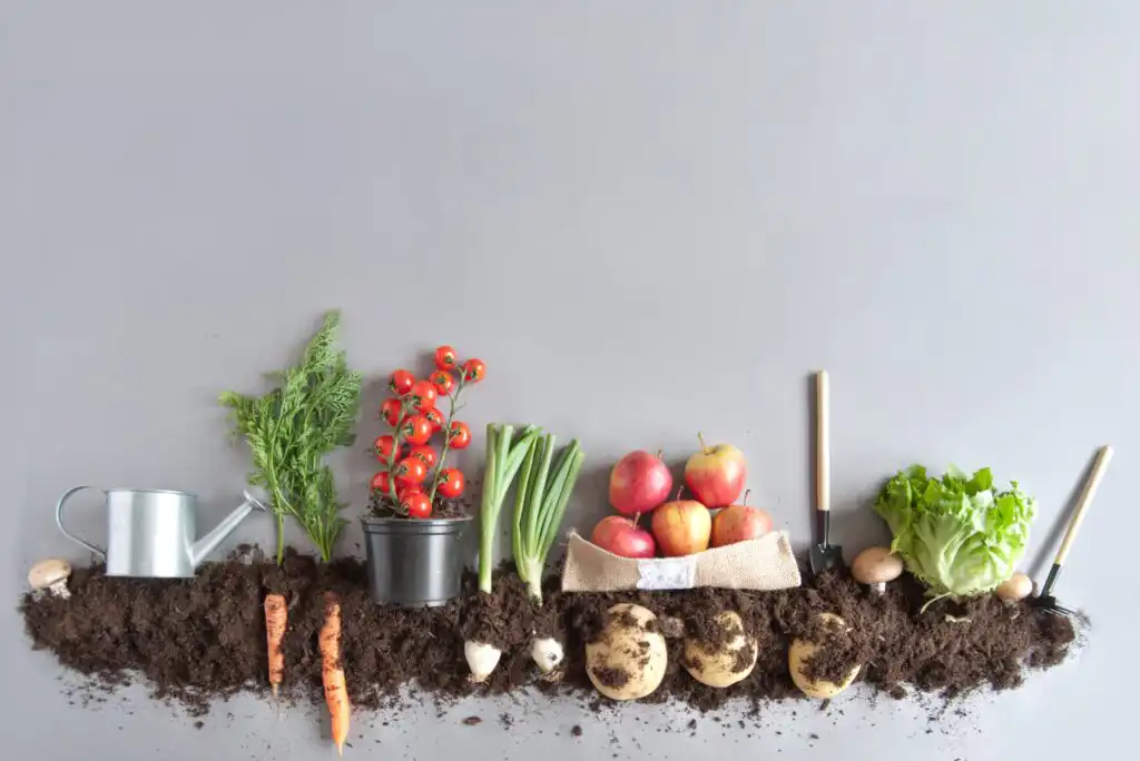 Composting 101: How to Make Compost & Fertilizer at Home