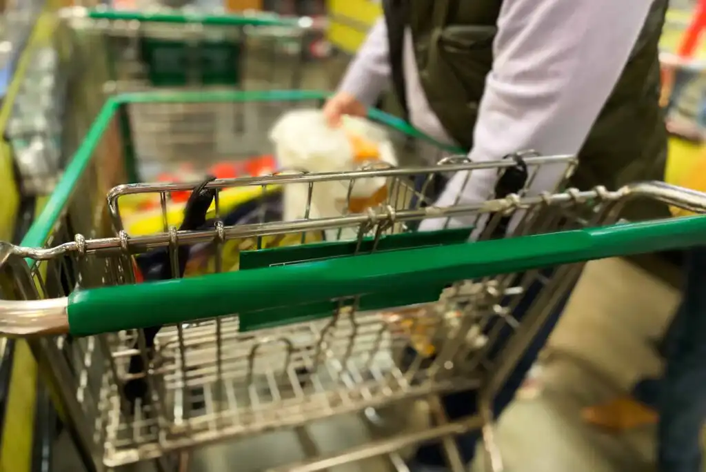 A person places groceries into a shopping cart with a green handle in a store aisle, with another cart visible nearby. The image is focused on the cart, with the person partially out of frame.