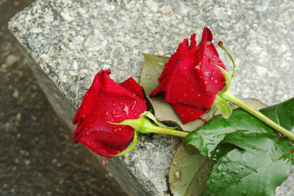 Two red roses with water droplets lie on a granite surface, with green leaves visible. The background shows a blurred, wet, dark pavement.