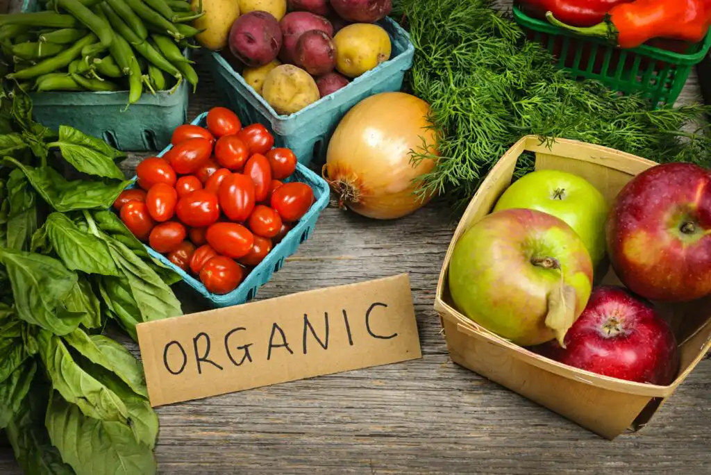 A variety of fresh organic produce, including apples, tomatoes, potatoes, green beans, basil, a yellow onion, and carrots, displayed on a wooden surface with a cardboard sign reading “ORGANIC.”.