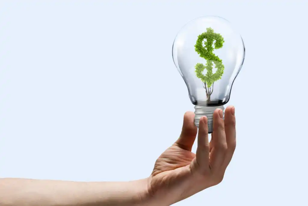 A hand holds a clear light bulb with a green plant inside shaped like a dollar sign, symbolizing eco-friendly or sustainable investments and financial growth.