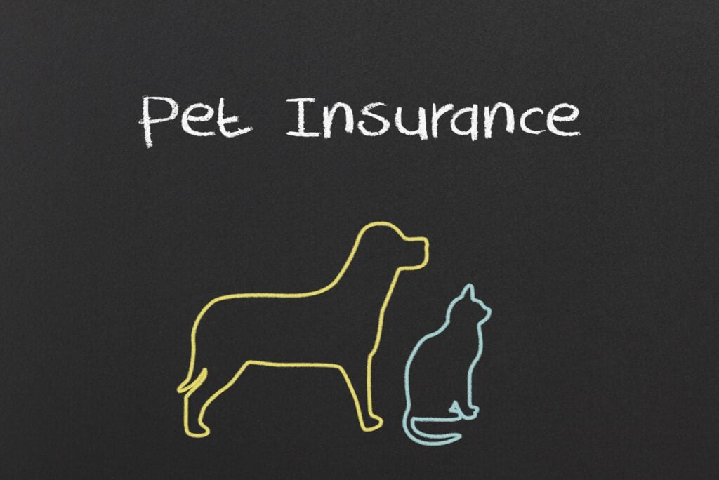 8 Best Pet Insurance Companies