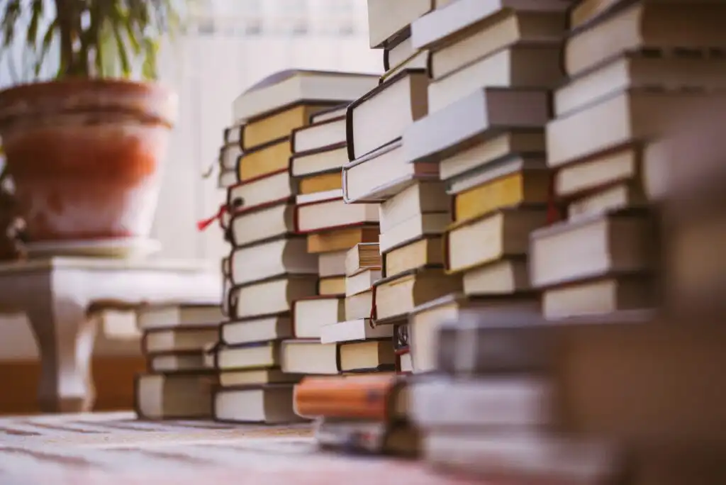 Several tall stacks of assorted books are piled on the floor next to a potted plant, with sunlight softly illuminating the scene from a nearby window.