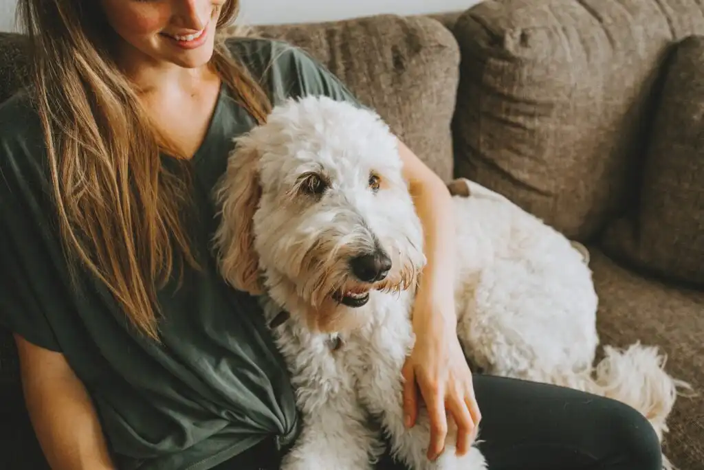 A woman sits on a brown couch, smiling, with a fluffy white dog resting its head on her lap. The dog looks relaxed and content.