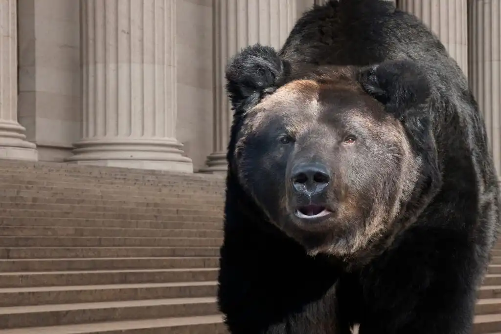 A large brown bear stands in front of stone steps and tall columns, resembling the entrance to a government building. The bears mouth is slightly open, and it faces the camera.
