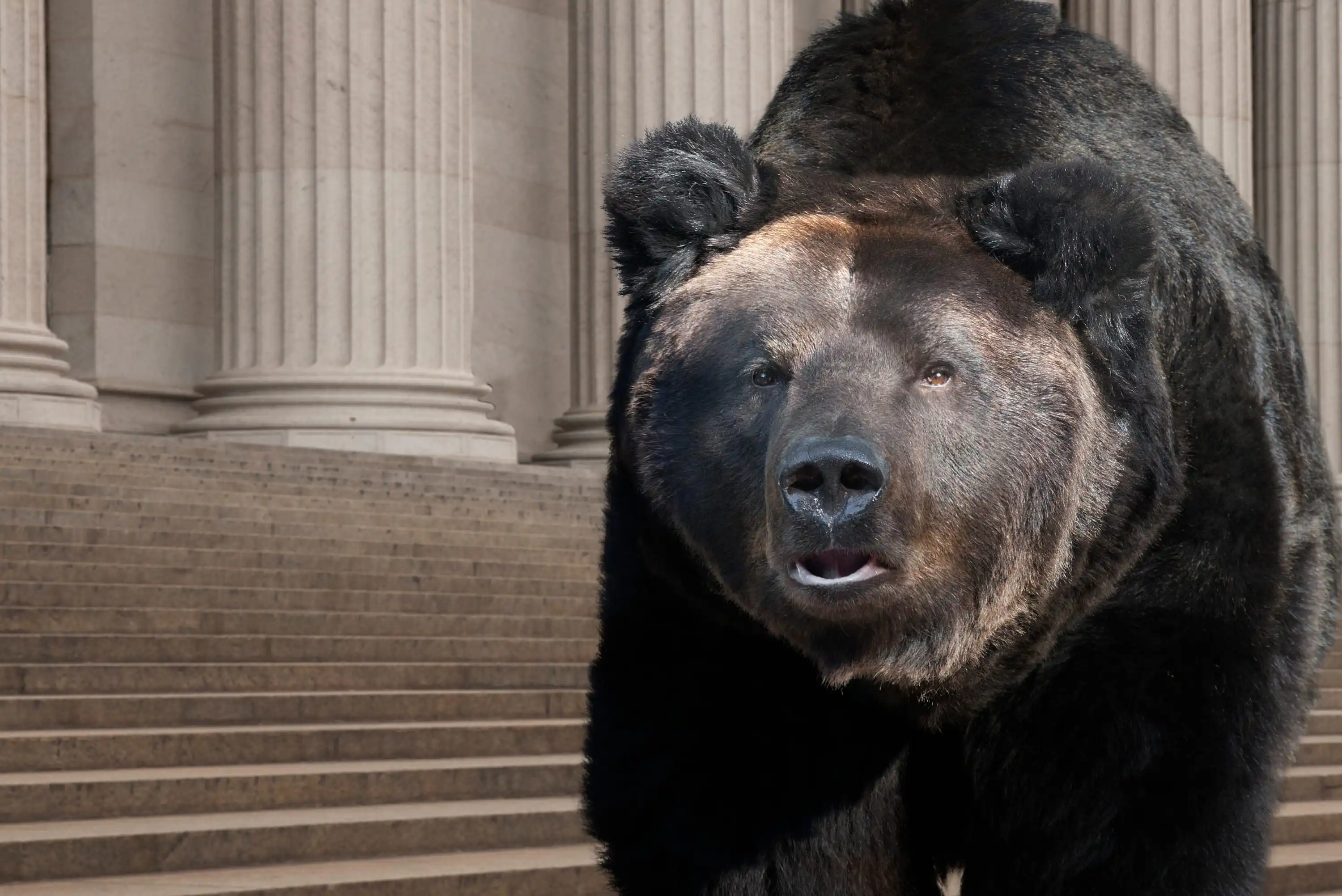 A large brown bear stands in front of stone steps and tall columns, resembling the entrance to a government building. The bears mouth is slightly open, and it faces the camera.