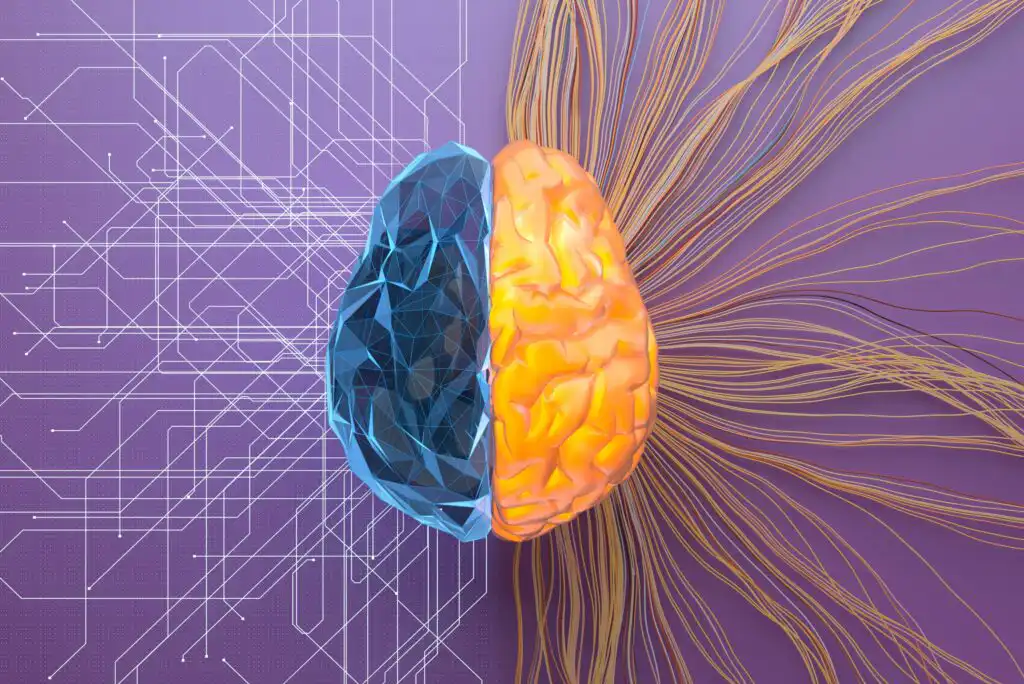 A stylized brain split in half: the left side is blue and geometric, representing technology, while the right side is yellow and organic, with flowing lines suggesting creativity, set against a purple background.