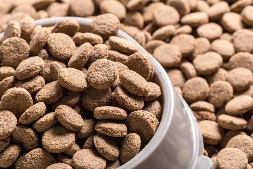 A close-up of a white bowl filled with round, brown dry kibble pieces, with more kibble scattered in the background.