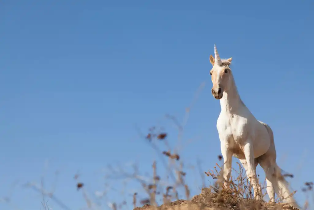 A white unicorn with a golden horn stands on a hill under a clear blue sky, with some dry plants in the foreground.
