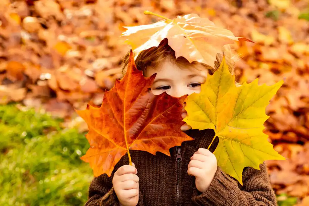 7 Outdoor Activities for the Fall Season – Fun Budget-Friendly Ideas