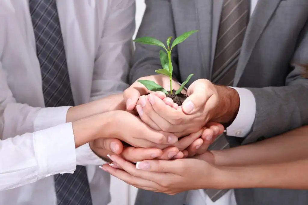 5 Dangers of Overly Fast Small Business Growth Strategies